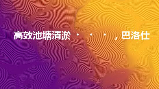 高效池塘清淤，巴洛仕設(shè)備助您一臂之力